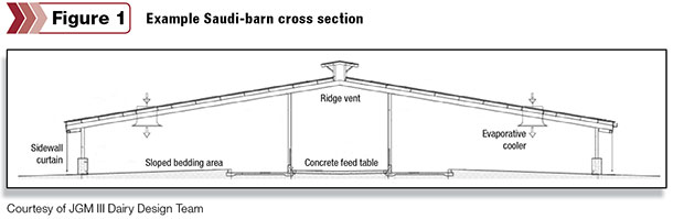 Example Saudi-barn cross section