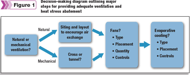 Decision-making diagram
