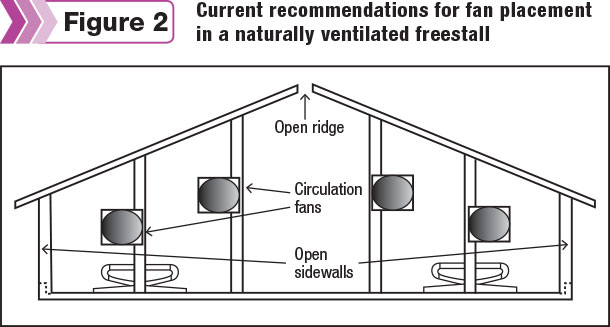 Current recommendations for fan placement in a naturally ventilated freestall