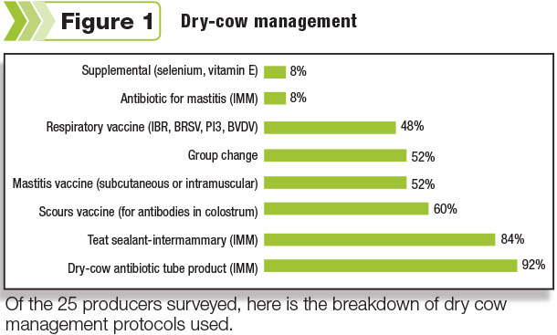 Dry-cow management