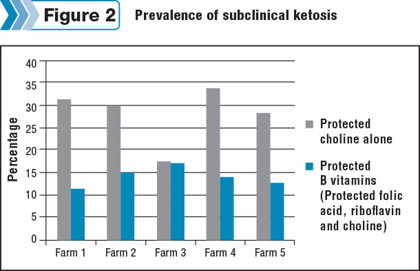 Prevalence of subclinical ketosis