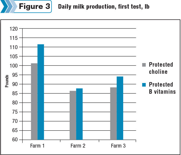 Daily milk production, first test, lb