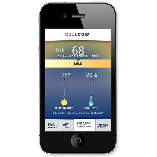 cool cow app