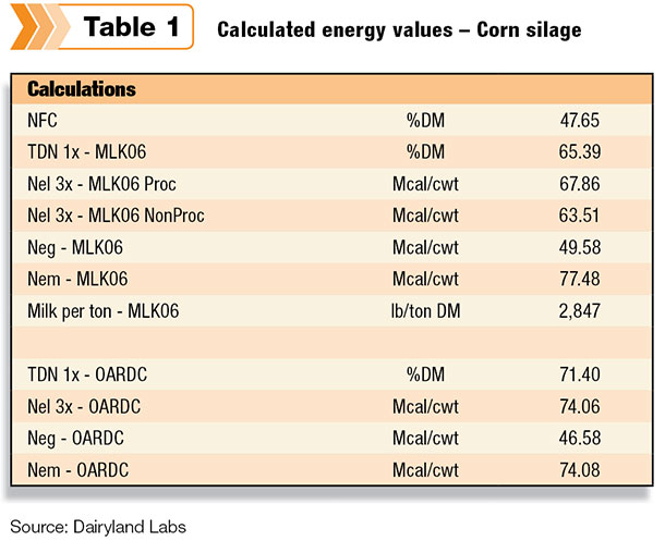Calculated energy values  - corn silage