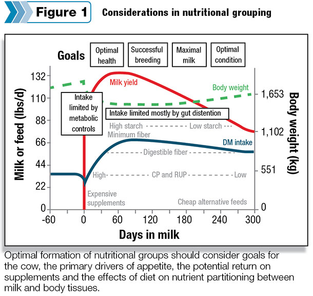 Considerations in nutritional grouping