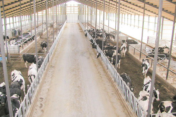 Naturally ventilated barns have open sidewalls