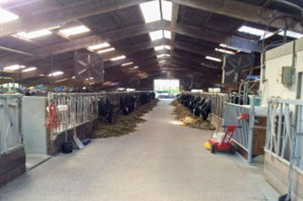 Bouma-Miedema Dairy