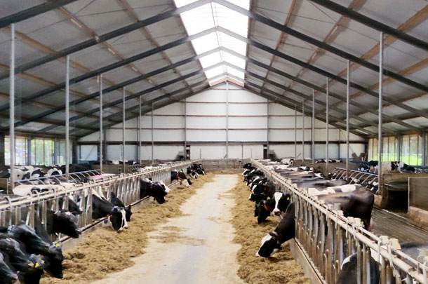 Dijkveld-Stol Dairy