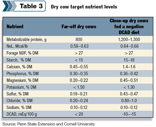 Dry cow target nutrient levels