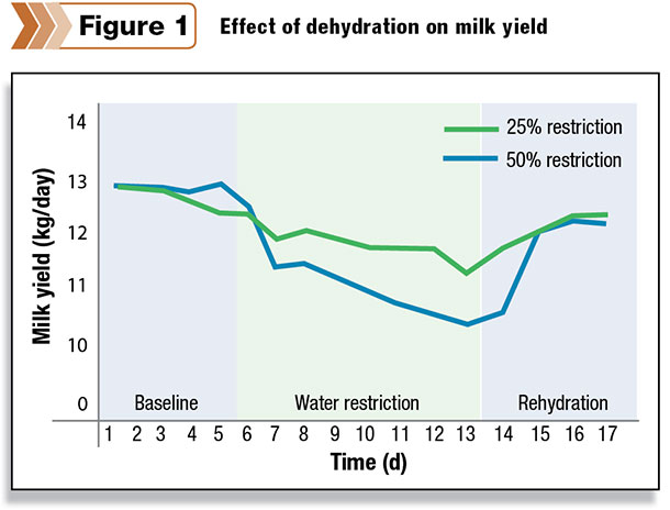 Effect of dehydration on milk yield
