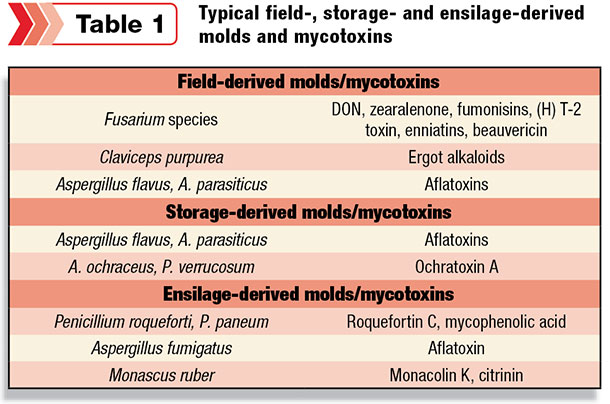 Typical field, storage and ensilage derived molds and mycotoxins