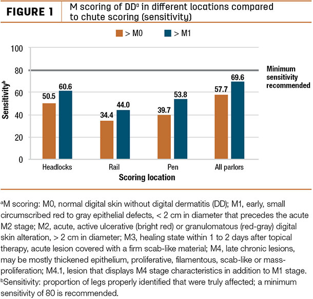 M scoring of DD in different locations compared to chute scoring