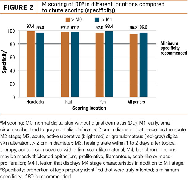 M scoring of DD in different locations compared to chute scoring 