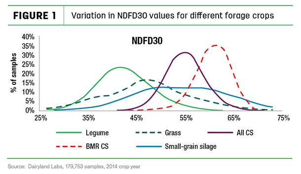 variatin in NDFD30 values for different forage crops