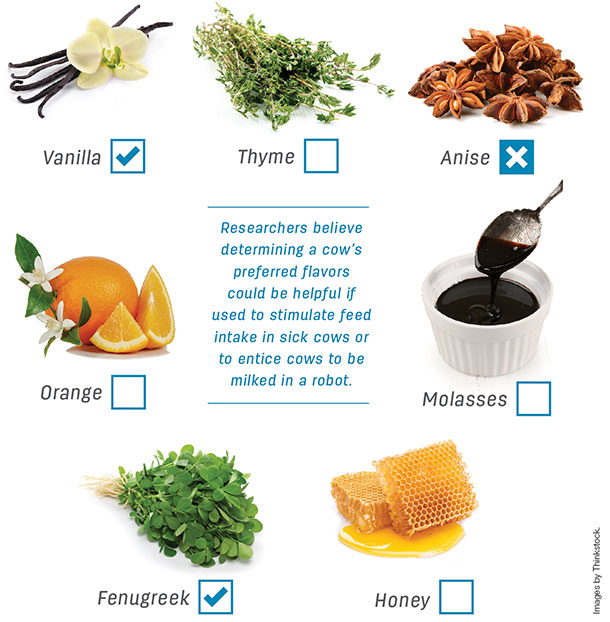 Flavor preferences