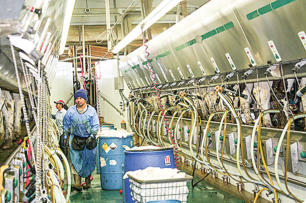 Grand View Dairy
