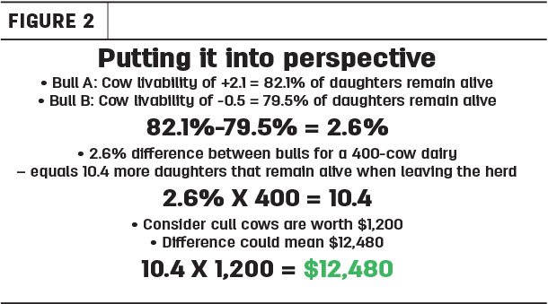Putting it into perspective