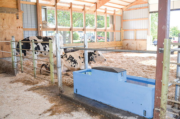 Prefresh cows utilize the other transition pen
