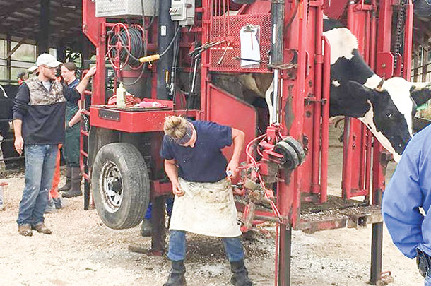 Trimmer Cory Wagner demonstrated his upright-hydraulic chute