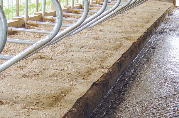 For waterbeds, top bedding is recommended to keep surgaces clean and dry