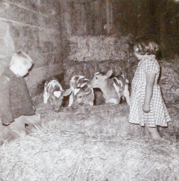 1950s dairy photo