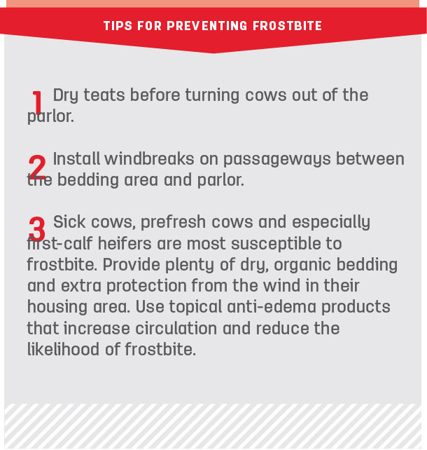 Tips for preventing frostbite