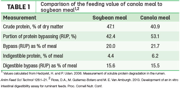 comparison of the feeding value of canola meal to soybean meal