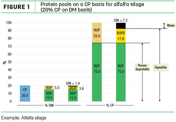 protein pools on a CP basis for alfalfa silage 