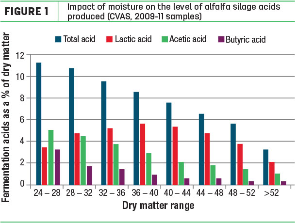 Impact of moisture on the level of alfalfa silage acids produced