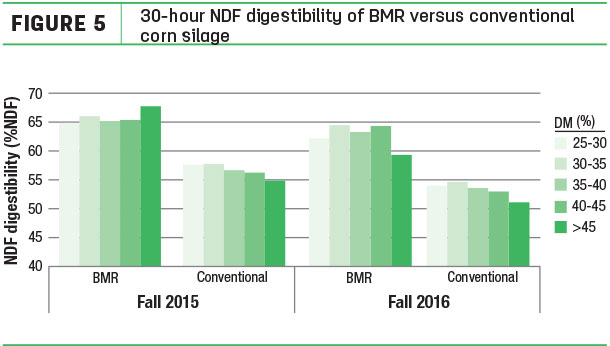 30-hour NDF digestibility of BMR versus conventional corn silage