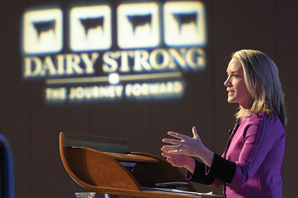 Fox News Channel political commentator and author Dana Perino