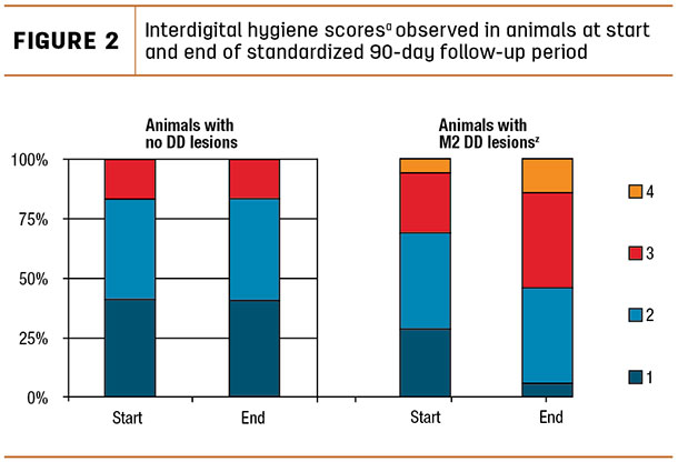 Interdigital hygiene scores observed in animals at start and end of standardized 90-day follow-up period
