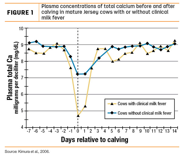 Plasma concentrations of total calcium before and after calving in mature Jersey cows with or without clinical milk fever