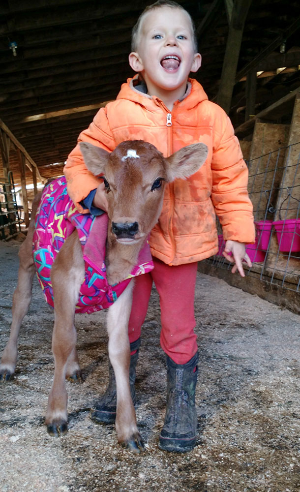 Child and a calf in a vest