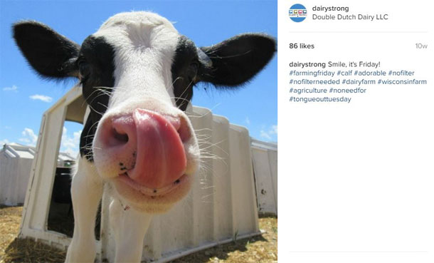 Instagram calf pic