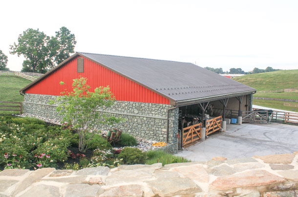 Show heifer barn is a renovated freestall barn