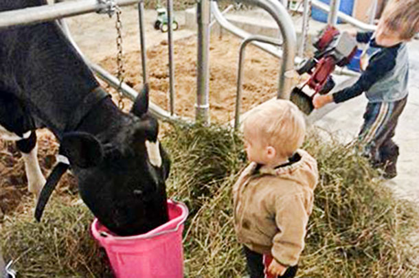 child watering cow