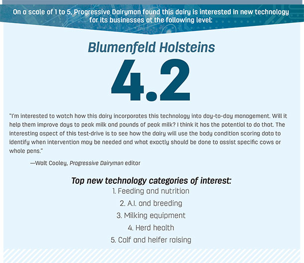 Vlumenfeld Holsteins
