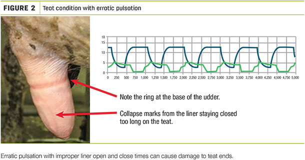 Teat condition with erratic pulsation