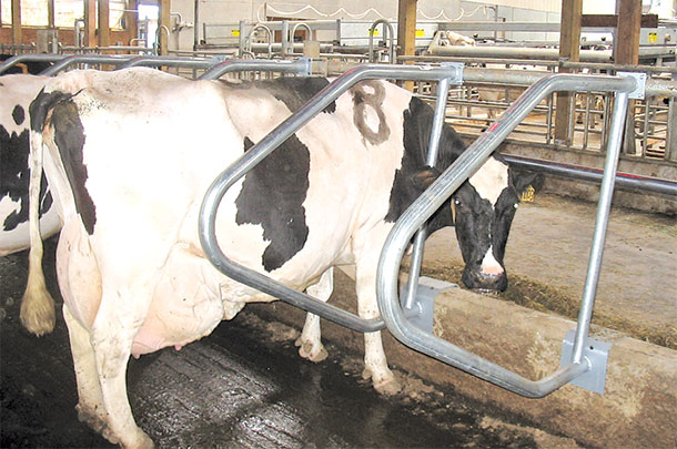 Some feedbunk designs reduce the competition