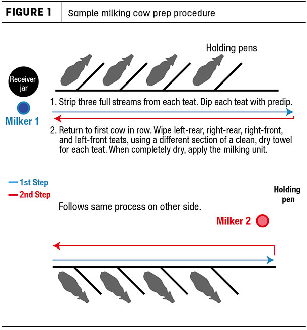 Sample malking cow prep procedure