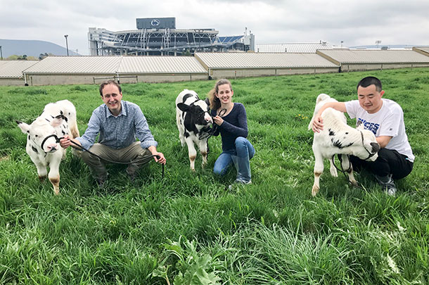 Penn State staff and calves