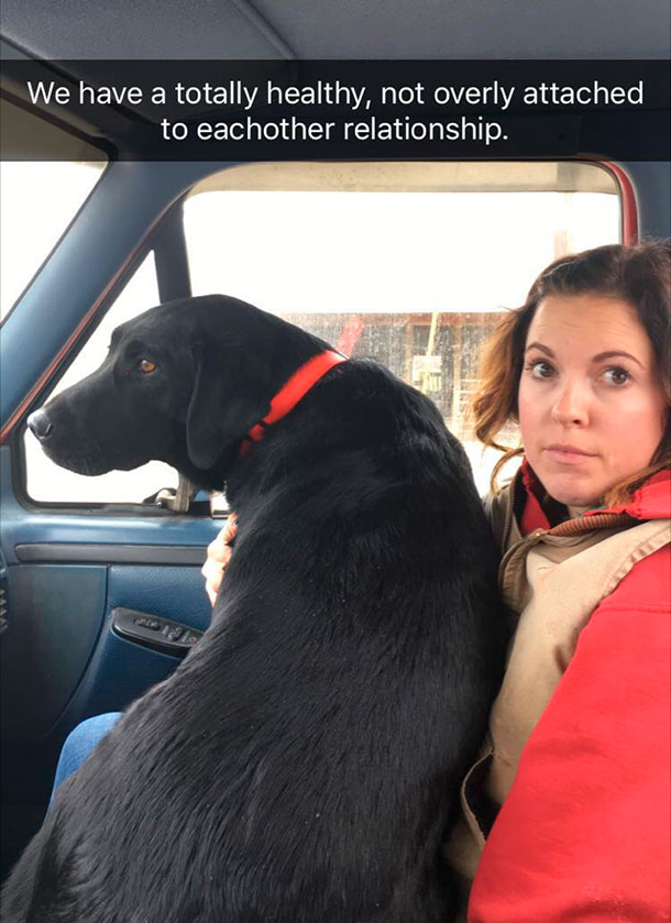 dog sitting on lap