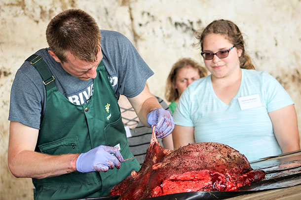veterinary instructor teaching how to use a scalpel