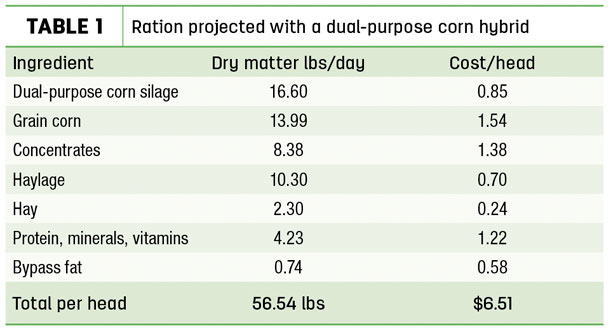 Ration projected with a dual-purpose corn hybrid