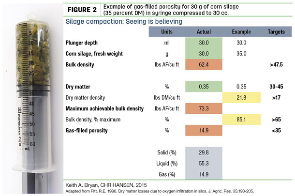 Example of gas-filled porosity for 30 g of corn silage