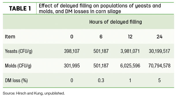 Effect of delayed fillling on populations of yeasts and molds, and DM losses in corn silage