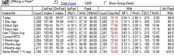 Davie Dairy dry matter intake and milk production