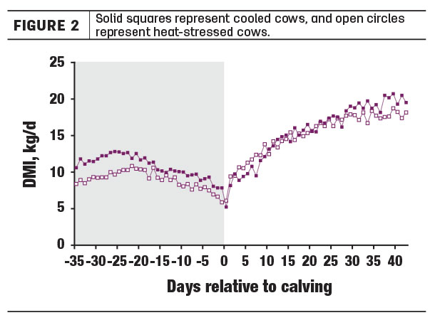 Heat stress Figure 2