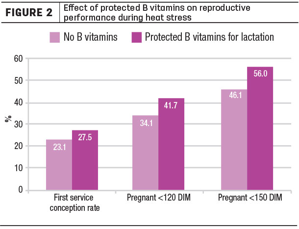 Effect of protected B Vitamins on reproductive performance during heat stress